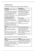 Edexcel Government and Politics: US Constitution essay plans