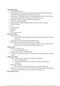 Criminal Procedure Adjudicative outline