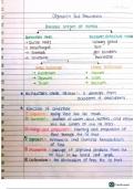 Digestion and absorption system of human body 