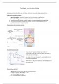 Samenvatting systeemfysiologie