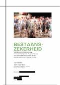 Sociale agenda: Individueel evaluatieverslag 'Bestaanszekerheid' (leerjaar 1)