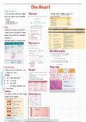 Cardiovascular System: Pathology