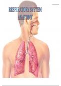 Anatomy of respiratory system 