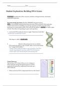 Student Exploration Building DNA Gizmo