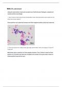 BIOD 171/Microbiology Lab 9 Exam Portage Learning