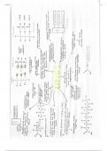 OCR A-Level Biology - Biological Molecules - Lipids Poster