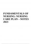 FUNDAMENTALS OF NURSING: NURSING CARE PLAN