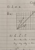 Wetenschappen: Vectoren - oplossingen oefeningen