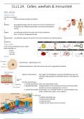 Samenvatting cellen, weefsels en immunologie (MHVP1CLL2A)