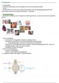 Volledige Samenvatting Reuma + lesnotities 