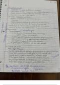 Class Notes Week 4 Prokaryotes Part 2