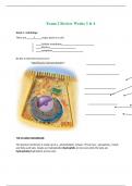 BIOS251 (Anatomy & Physiology I with Lab ) exam 2 Review Outline (Latest 2022 / 2023) : - Chamberlain