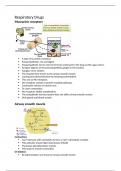 Summary of respiratory drugs