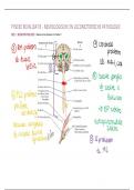 Samenvatting: Fysieke revalidatie (Neurologische en Locomotorische Pathologie)