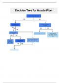 Muscle Fiber Decision Tree