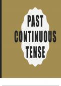 Past Continuous Tense