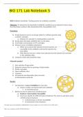 BIO 171 Lab Notebook 5 questions and answers latest 2023 - 2024 [100% correct answers]