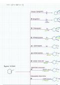 Alkenes Reaction Summary- Organic Chem