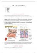 Summary Fundamentals of Anatomy and Physiology -  physiology