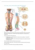 Physiology package