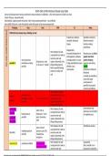 NURS 3305 & 5005 Infectious Disease Drug Tables (100% Accurate Elaborations)