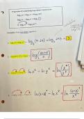 Exam (elaborations) Calculus 2 