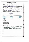 Class notes dental school  Bd Chaurasia's Human Anatomy