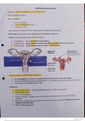 MBBS Fibroids revision notes