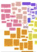 Alevel History: Establishment of the Weimar Constitution Mindmap