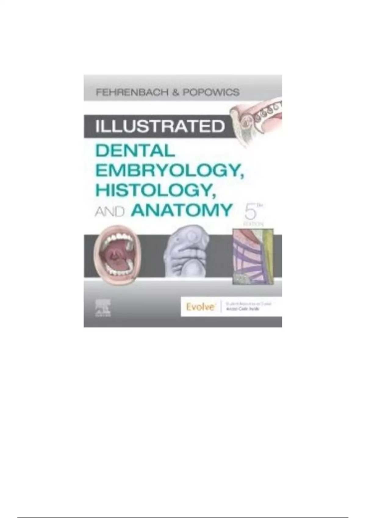 Test Bank For Illustrated Dental Embryology Histology And Anatomy Th Edition All Chapters