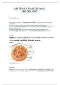 ATITEAS7 ANATOMY AND PHYSIOLOGY