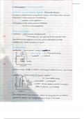 AQA GCSE Higher Tier Chemistry: Chapter 7- Energy Changes