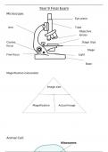 All you need for GCSE AQA Biology Year 9