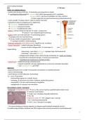 samenvatting histologie: bot