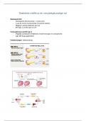 Diabetes mellitus en de verpleegkundige rol