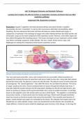 Btec Applied Science Unit 10 Assignment B (Full Assignment)