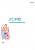 ciclo cardiaco