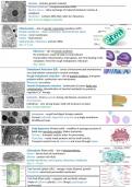 OCR Biology Cell structure 2.1.1 revision notes - By A* student