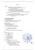 Samenvatting ECG basis