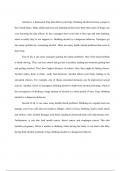 Essay on Drinking Alcohol