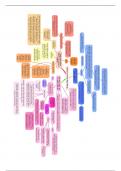 Alevel History: The History of the Nazi Party Mindmap