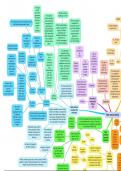 Alevel History: Nazi Social Policy Mindmap