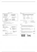 Summary: A-level Mechanics: Modelling in Mechanics 