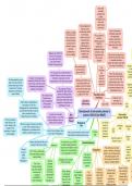 Alevel History: Nazi Anti-Semitic Policies 1938-40 Mindmap