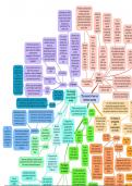 Alevel History: Impact of WW2 on society Mindmap