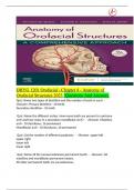 DHYG 1201 Orofacial - Chapter 4 - Anatomy of Orofacial Structures 2023 /Questions And Answers 