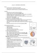 HEMISPHERIC LATERALISATION