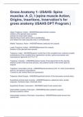 Gross Anatomy 1- USAHS- Spine muscles: A ,O, I (spine muscle Action, Origins, Insertions, Innervation's for gross anatomy USAHS DPT Program.)