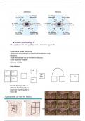 Samenvatting -  VSV1 