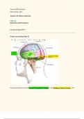 PBSI 320 Lecture 6 Vision in the Brain Part II